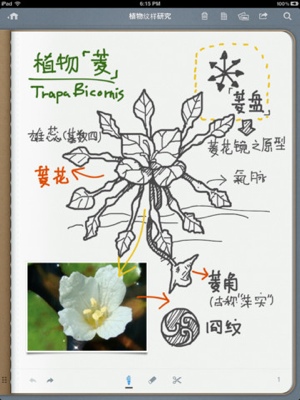 image-1