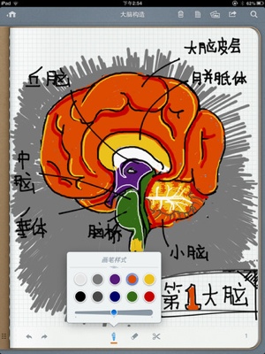 image-1